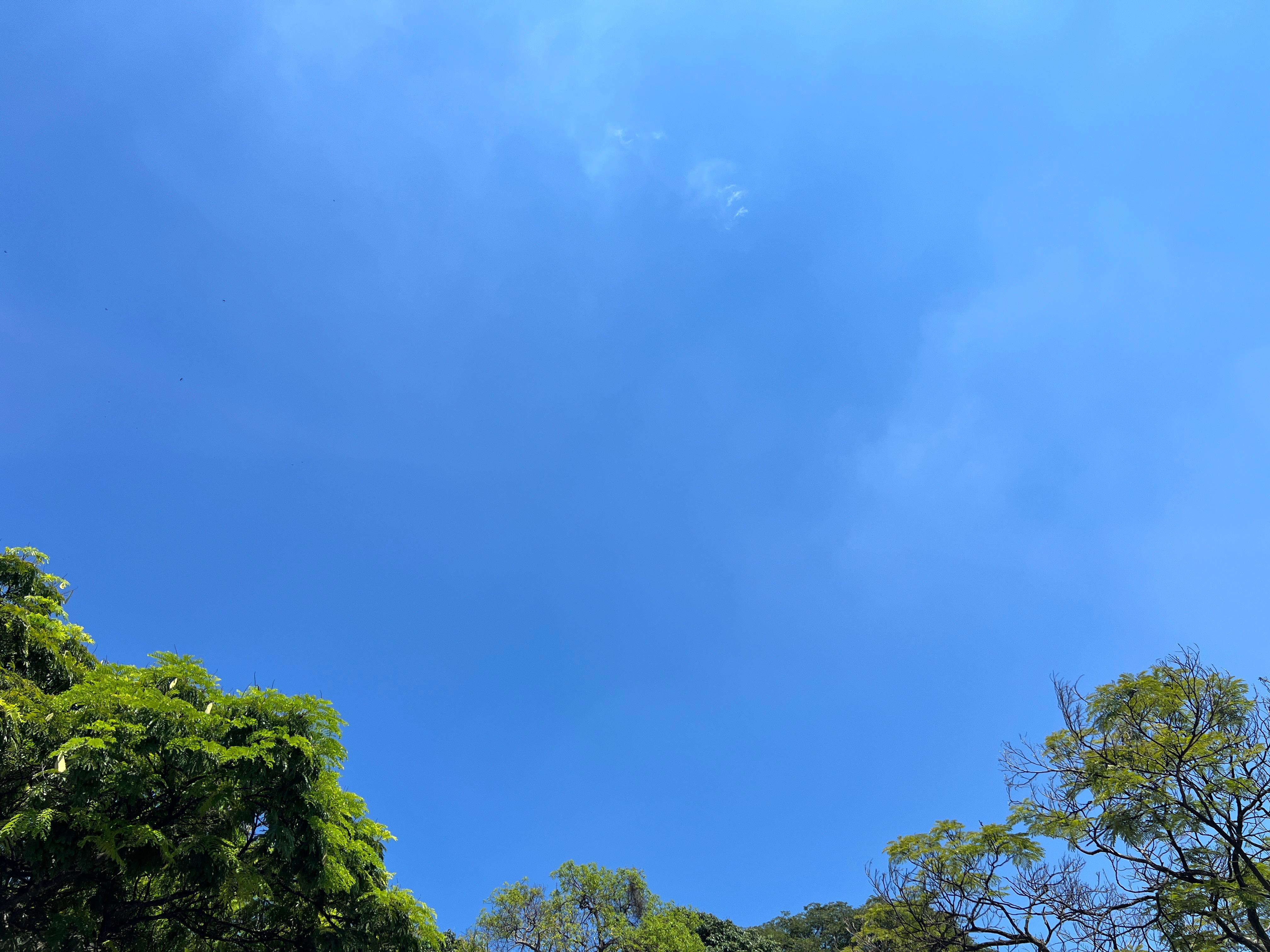 Temperaturas podem chegar a 35°C