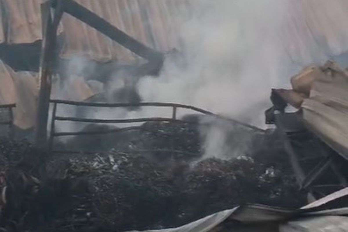 Imagens feitas por equipes da Defesa Civil no galpão, na manhã de hoje, mostram como as chamas geraram um "cenário de guerra" no imóvel