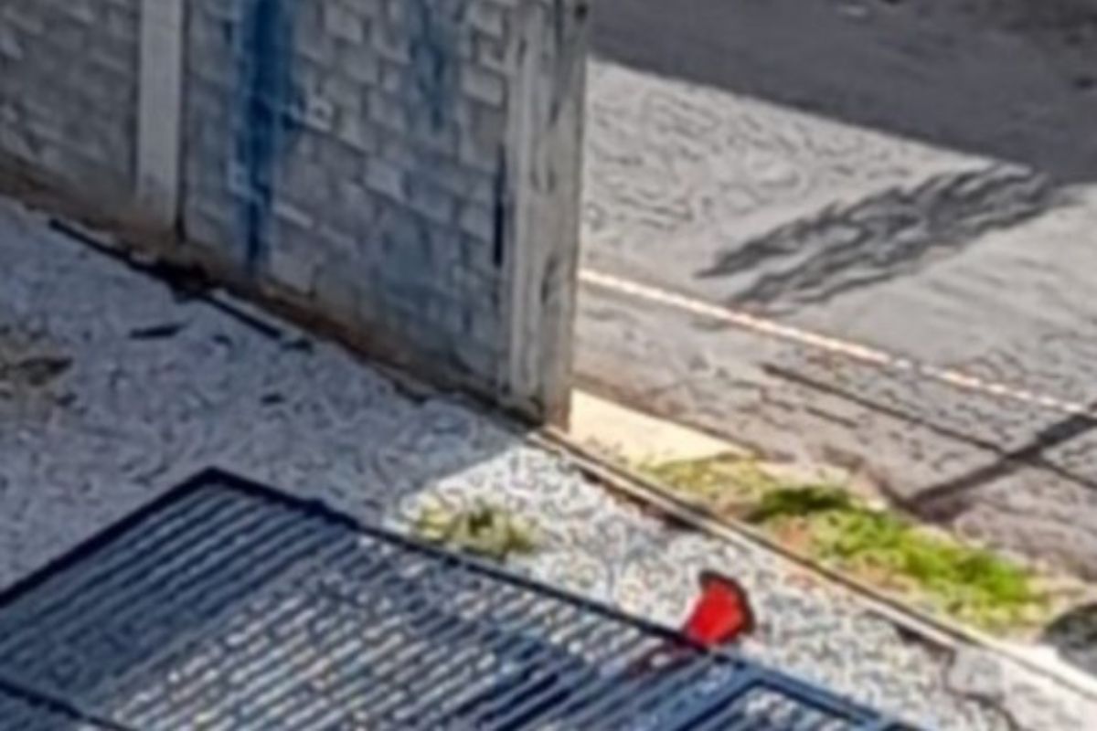 Corpo do homem foi encaminhado para o IML Betim para ser submetido à exames