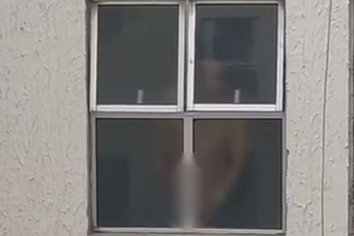 Vídeo em que homem aparece se masturbando viralizou nas redes sociais