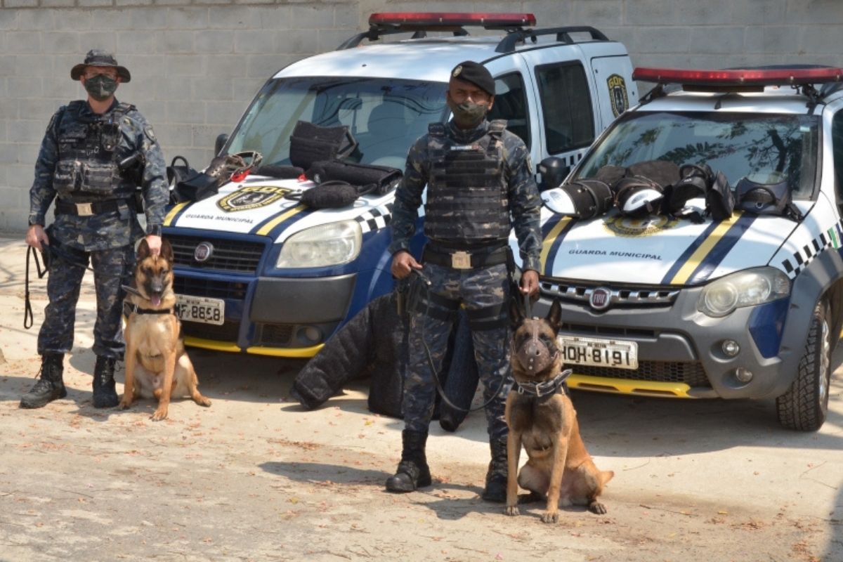 Grupamento de Operações com Cães se apresentará durante as ações