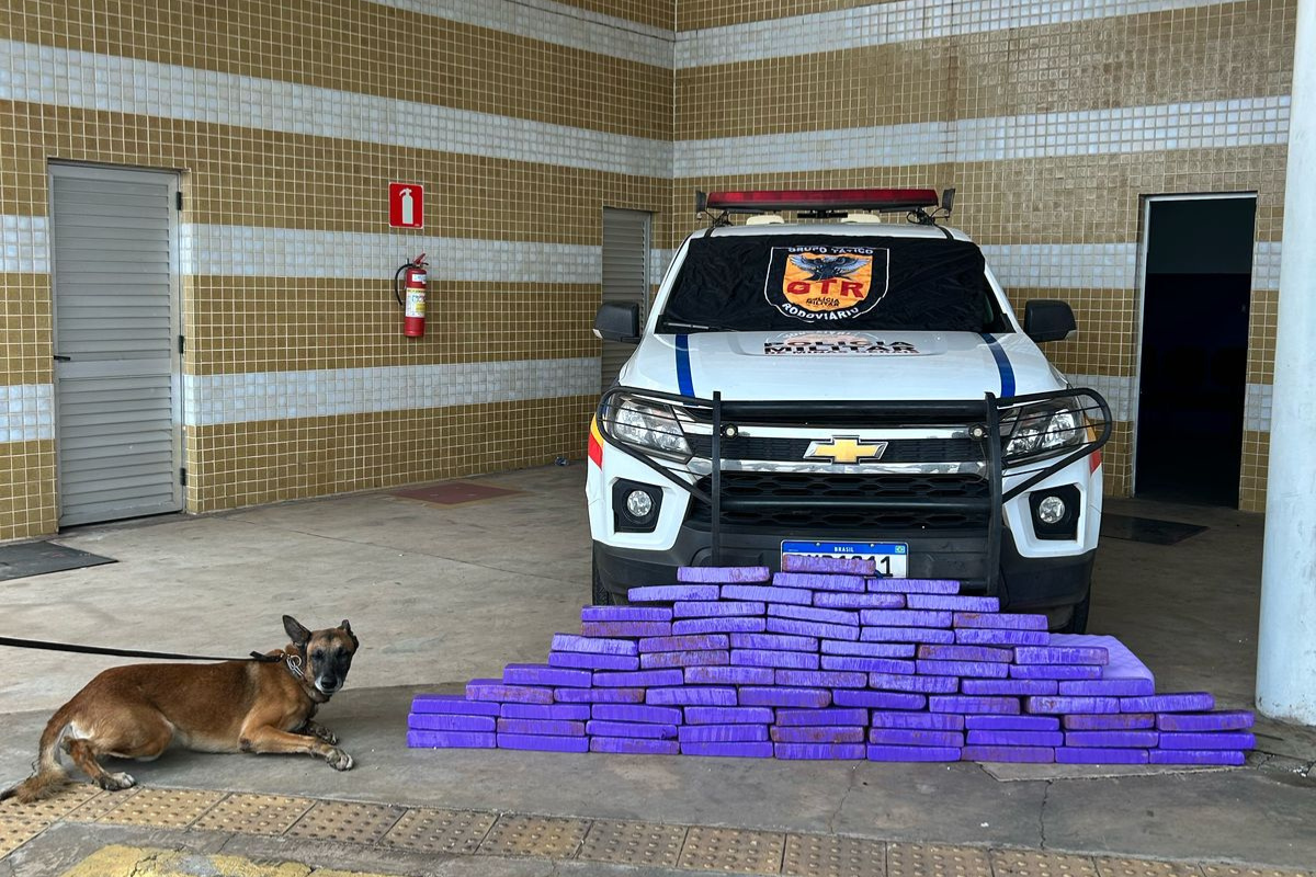 Ônibus interceptado fazia a linha São Paulo (SP) até Natal (RN)