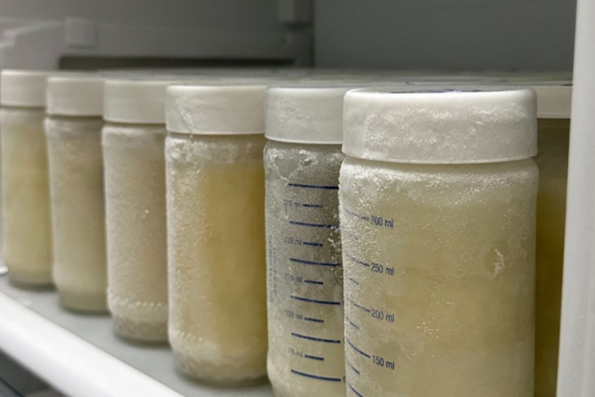 De janeiro a maio de 2023, o Banco de Leite de Betim distribuiu 196,2 litros de leite pasteurizado, beneficiando 389 bebês