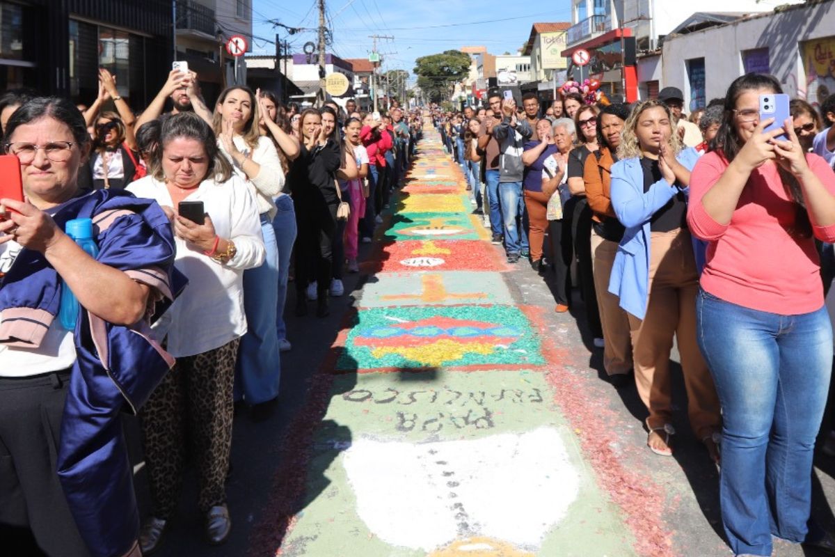 Sete grandes sacos de serragem, quatro metros cúbicos de areia, meia tonelada de sal grosso, 50 quilos de cal, além de 120 pacotes de corante em pó e 400 frascos de tinta líquida foram utilizados para a confecção do tapete