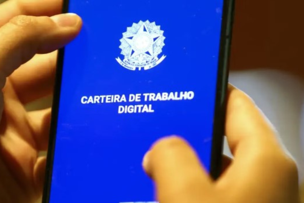 Para se candidatar, não é necessário ter experiência na área
