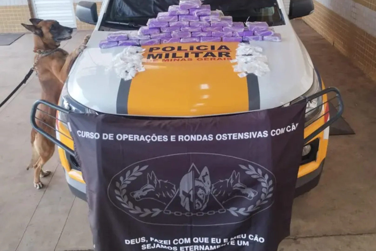 Abordagem ocorreu no KM 492 da BR-381 durante fiscalização de ônibus interestadual