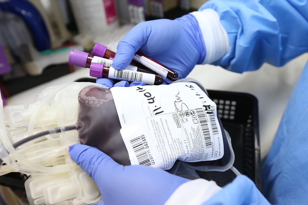 Proposta do evento é ampliar número de doadores regulares de sangue e de cadastros no Registro Nacional de Doadores Voluntários de Medula Óssea