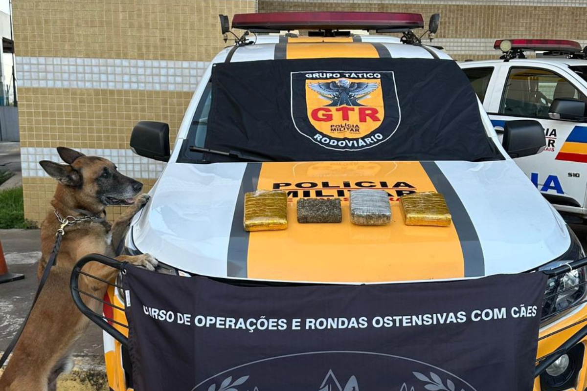 Quatro barras de maconha foram encontradas com homem que vinha de São Paulo rumo a Belo Horizonte