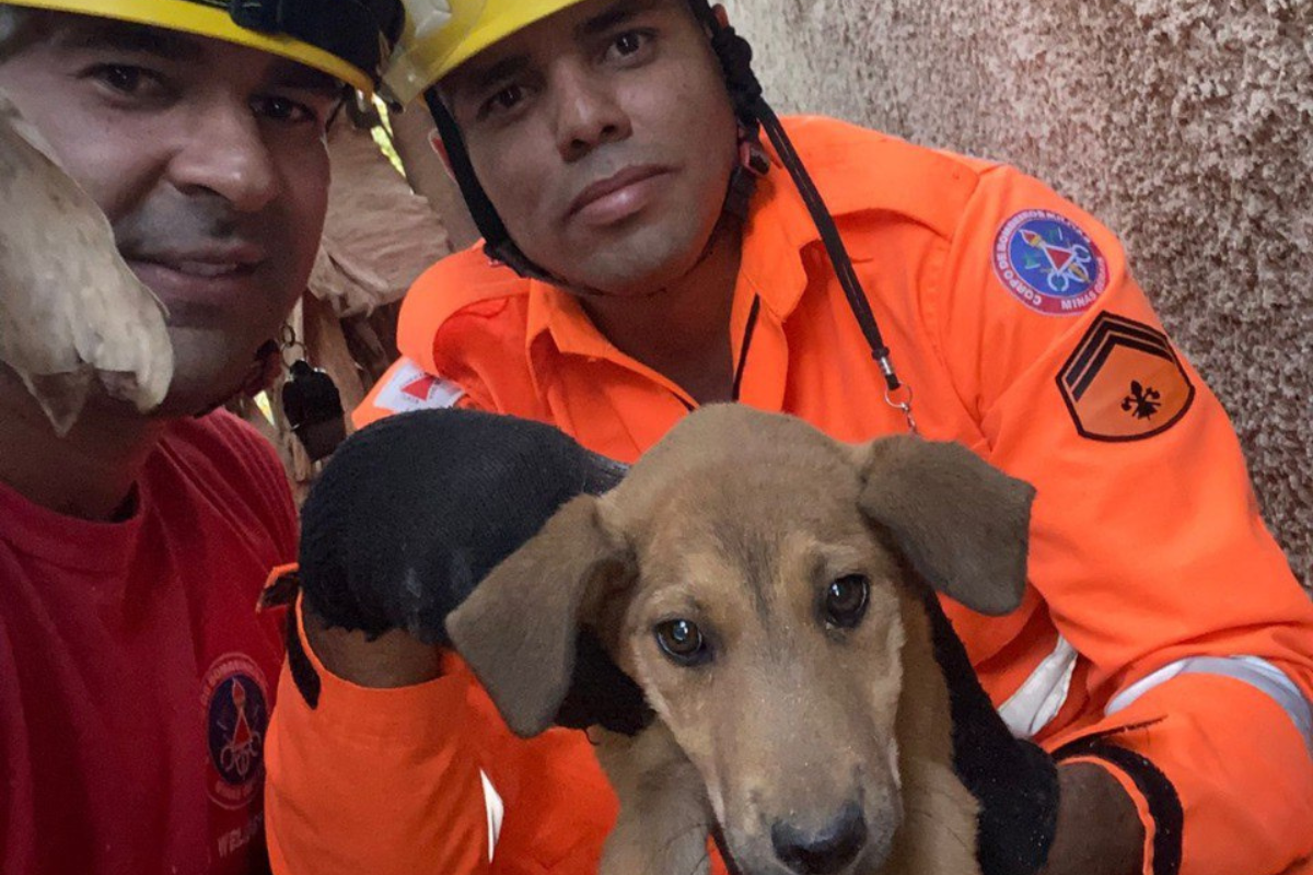 Foi necessário abrir um vão no muro divisório