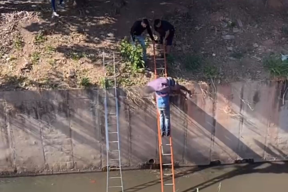 Com a ajuda de duas escadas, o homem foi retirado do córrego por populares