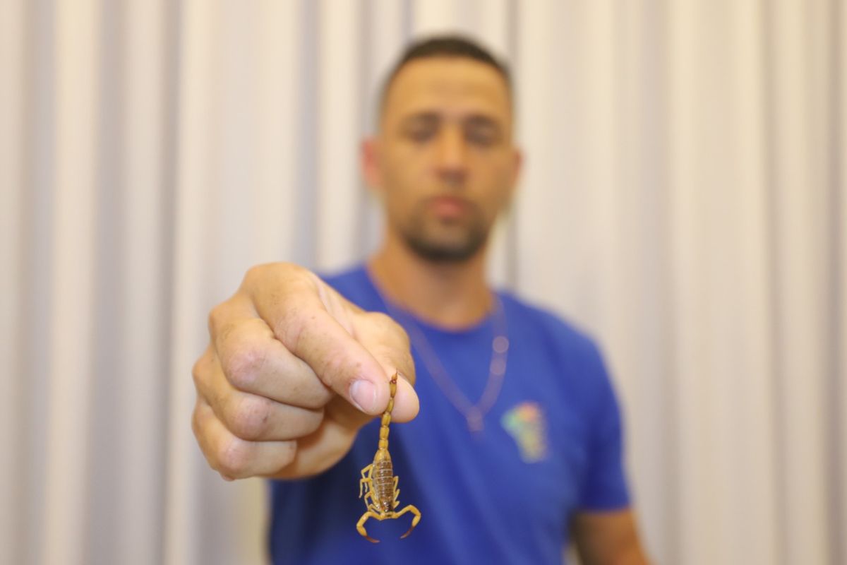 Wesley pereira diz que já encontrou escorpiões até debaixo do berço de uma das filhas