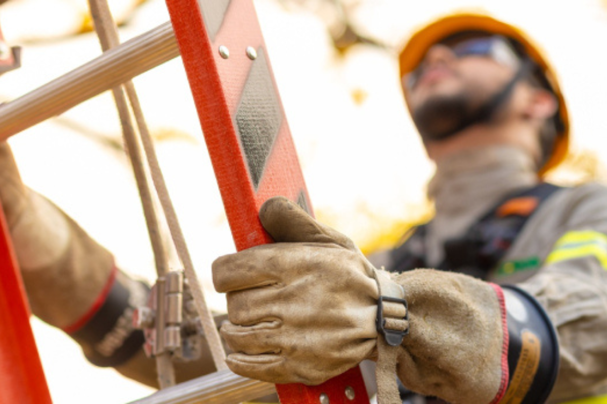Cemig tira dúvidas sobre termos empregados de maneira errada pelos usuários no dia a dia
