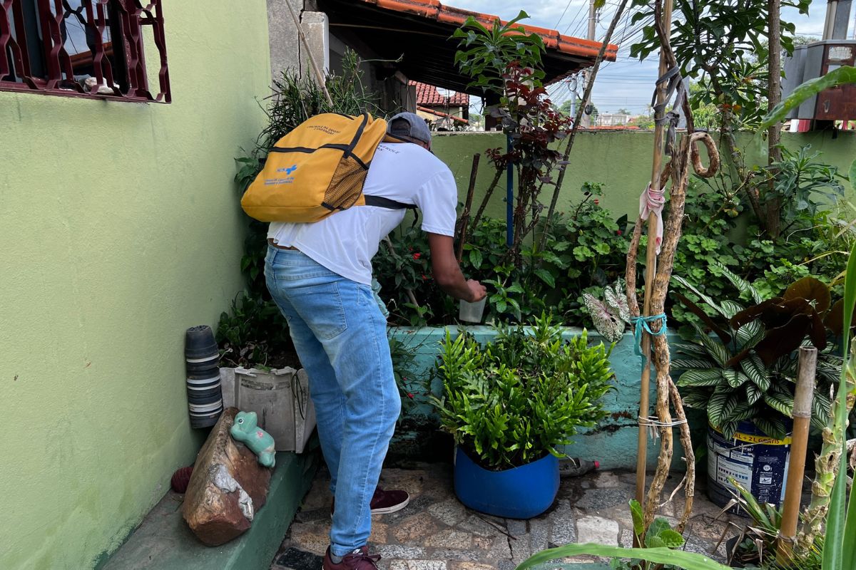 Equipes desenvolverão medidas de enfrentamento, incluindo a eliminação de focos e, quando necessário, o controle químico nos pontos mais crítico