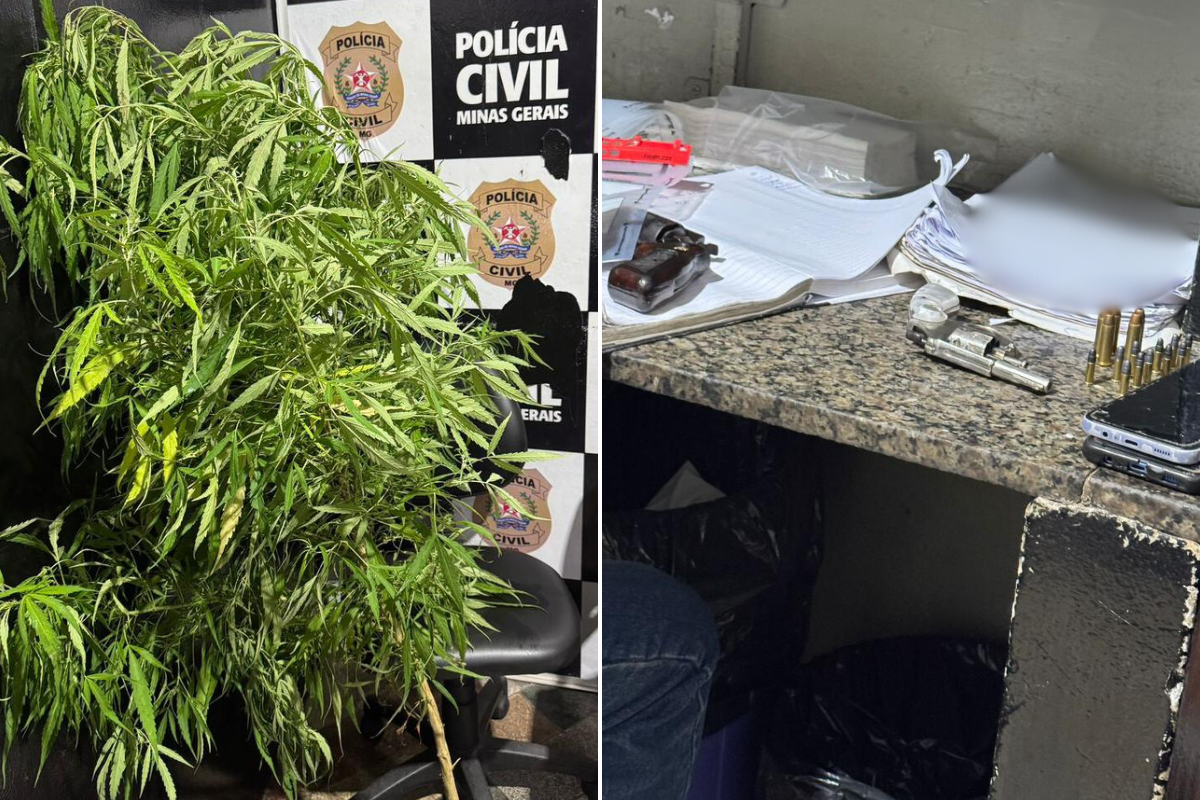 Material apreendido com os suspeitos