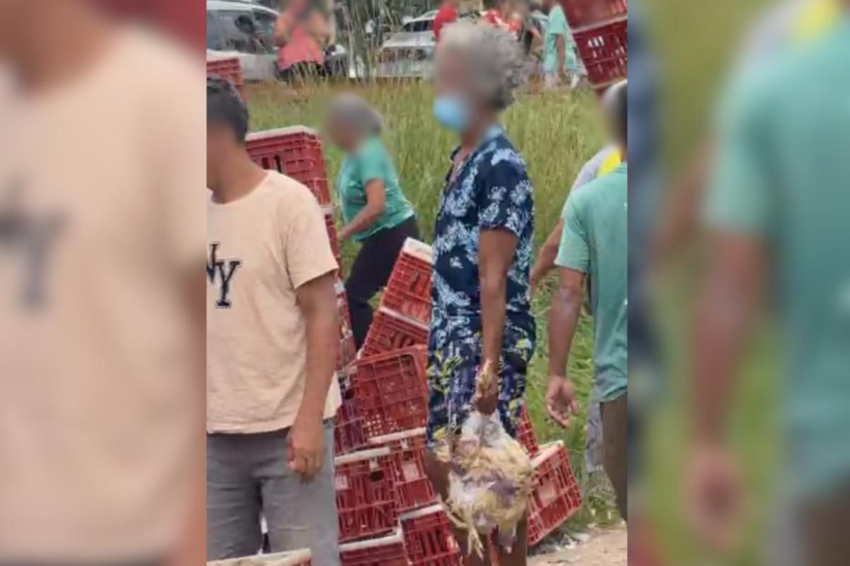 Carga continha 627 gaiolas com 4.389 frangos no total; parte dela contou com a salvaguarda da Polícia Rodoviária Federal (PRF)