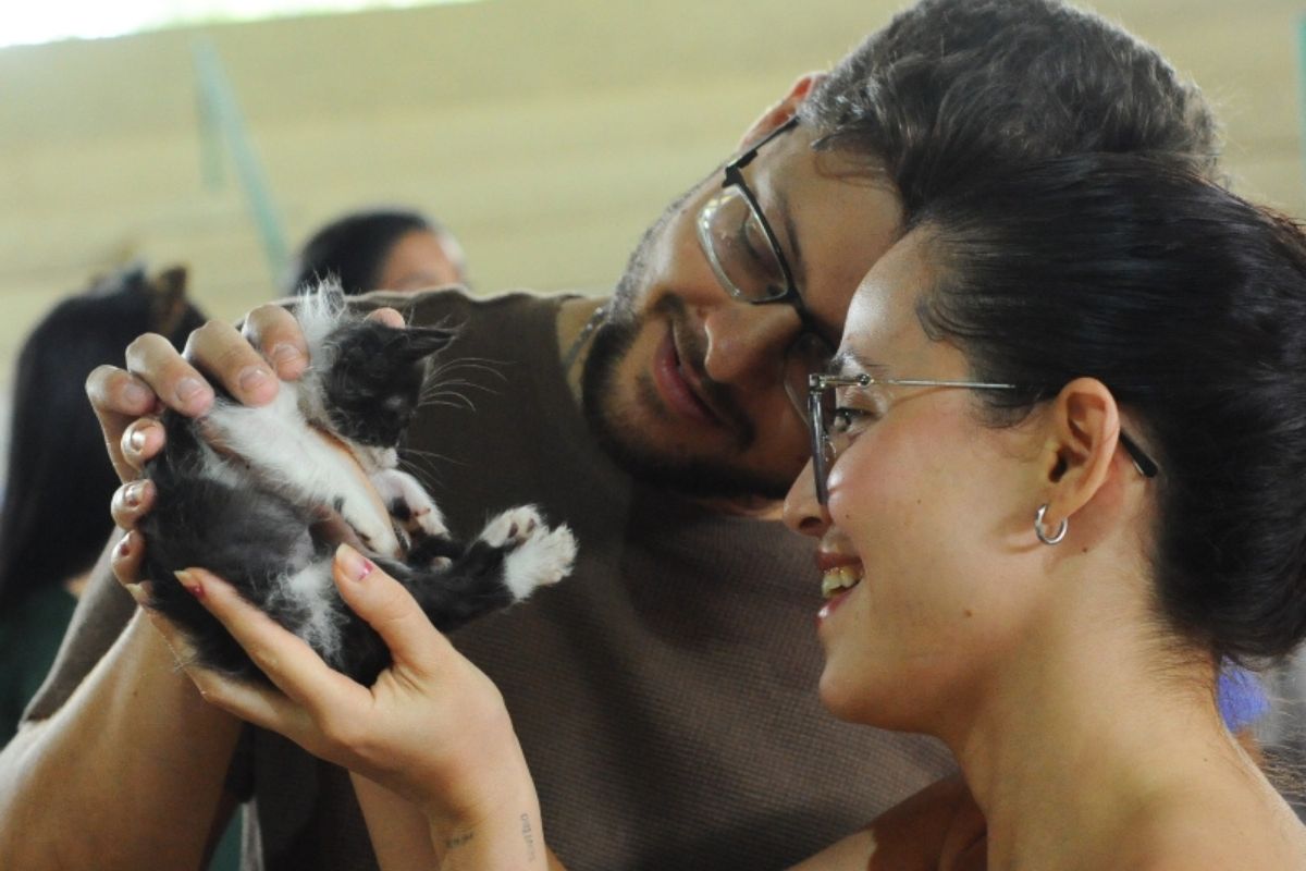 Novos tutores terão acesso a consultas veterinárias gratuitas