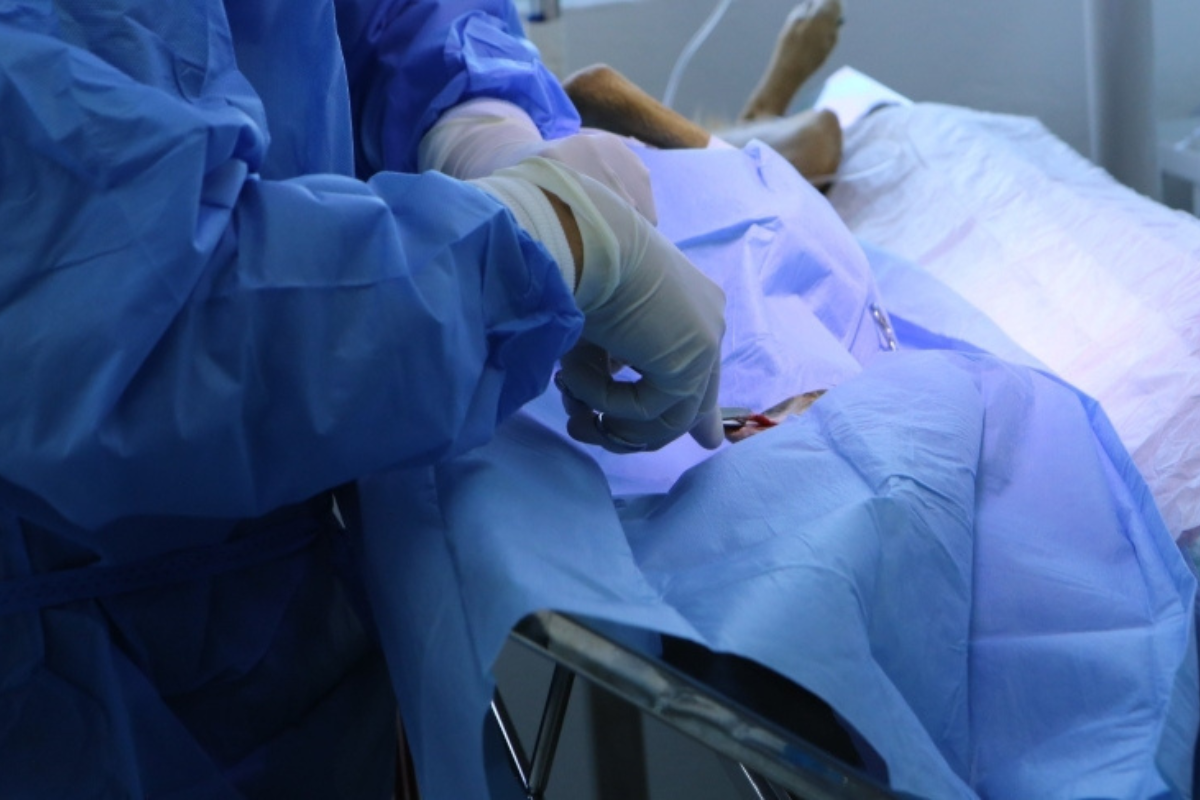 A castração animal previne uma série de doenças