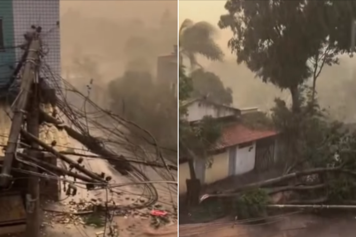 Árvore e poste estão caídos na via, no Bandeirinhas