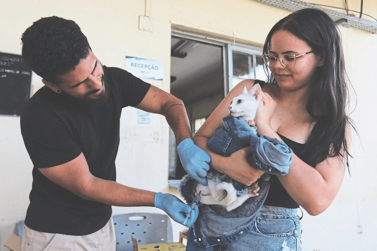 Vacina protege contra a raiva, doença grave que pode ser transmitida para humanos e tende a ser letal; cães e gatos podem receber as doses