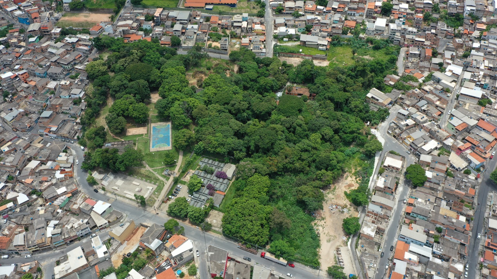 Em contrapartida à supressão de 99 espécies arbóreas, 198 árvores serão plantadas no local