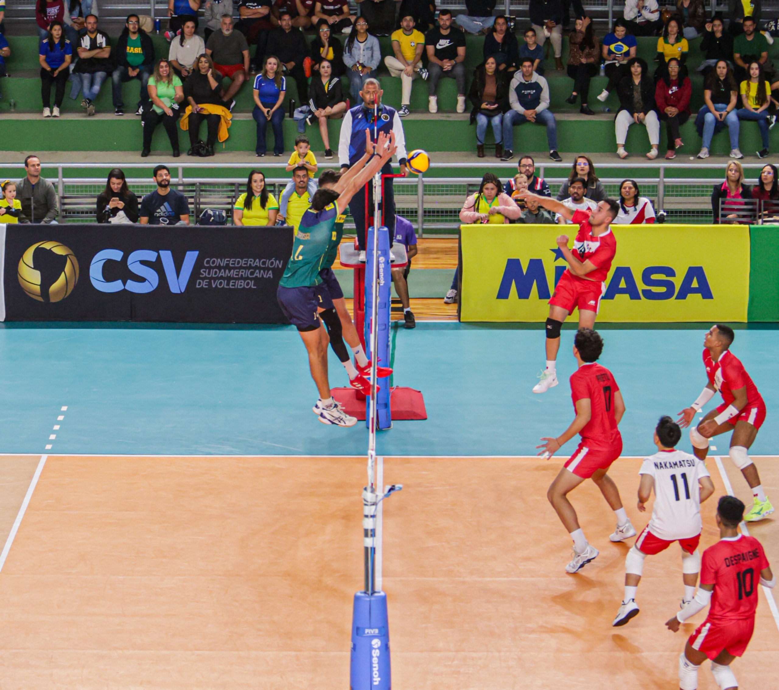 Brasil e Peru disputam ponto pela Copa América de Vôlei